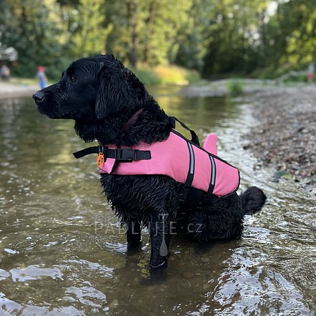 Záchranná plovací vesta pro psa Nobby Elen neon ŽRALOK růžová