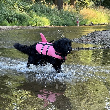 Záchranná plovací vesta pro psa Nobby Elen neon ŽRALOK růžová